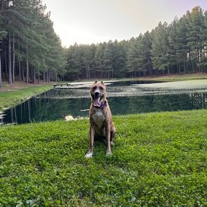 Meet your Posher, Mikayla